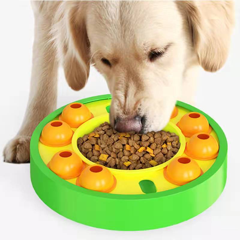 Interactive Slow Puzzle Feeder