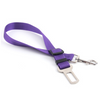 Fixed Dog Strap & Leash - PetFindsUSA - PetFindsUSA