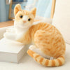 Cat Plush Toys - PetFindsUSA - PetFindsUSA