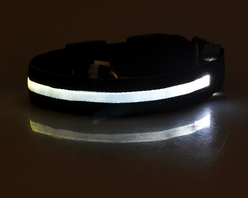 "Light Up the Night: Nylon LED Pet Collar for Purrfect Safety and Style!" - PetFindsUSA - PetFindsUSA