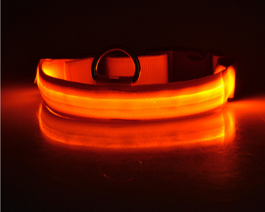 "Light Up the Night: Nylon LED Pet Collar for Purrfect Safety and Style!" - PetFindsUSA - PetFindsUSA