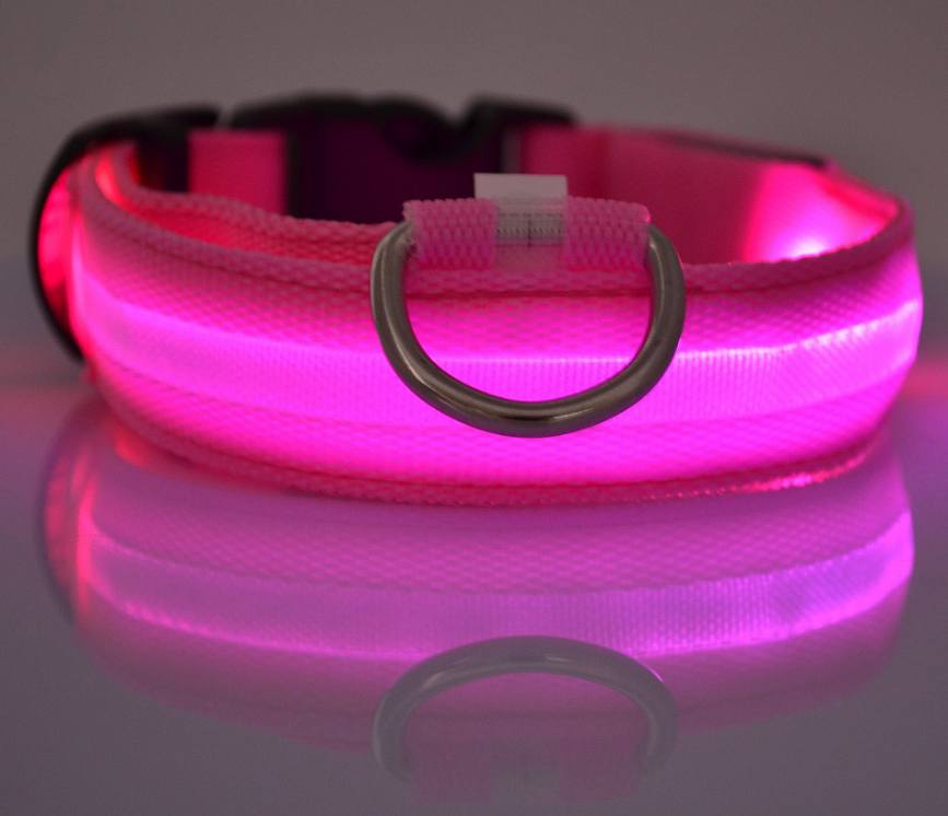 "Light Up the Night: Nylon LED Pet Collar for Purrfect Safety and Style!" - PetFindsUSA - PetFindsUSA