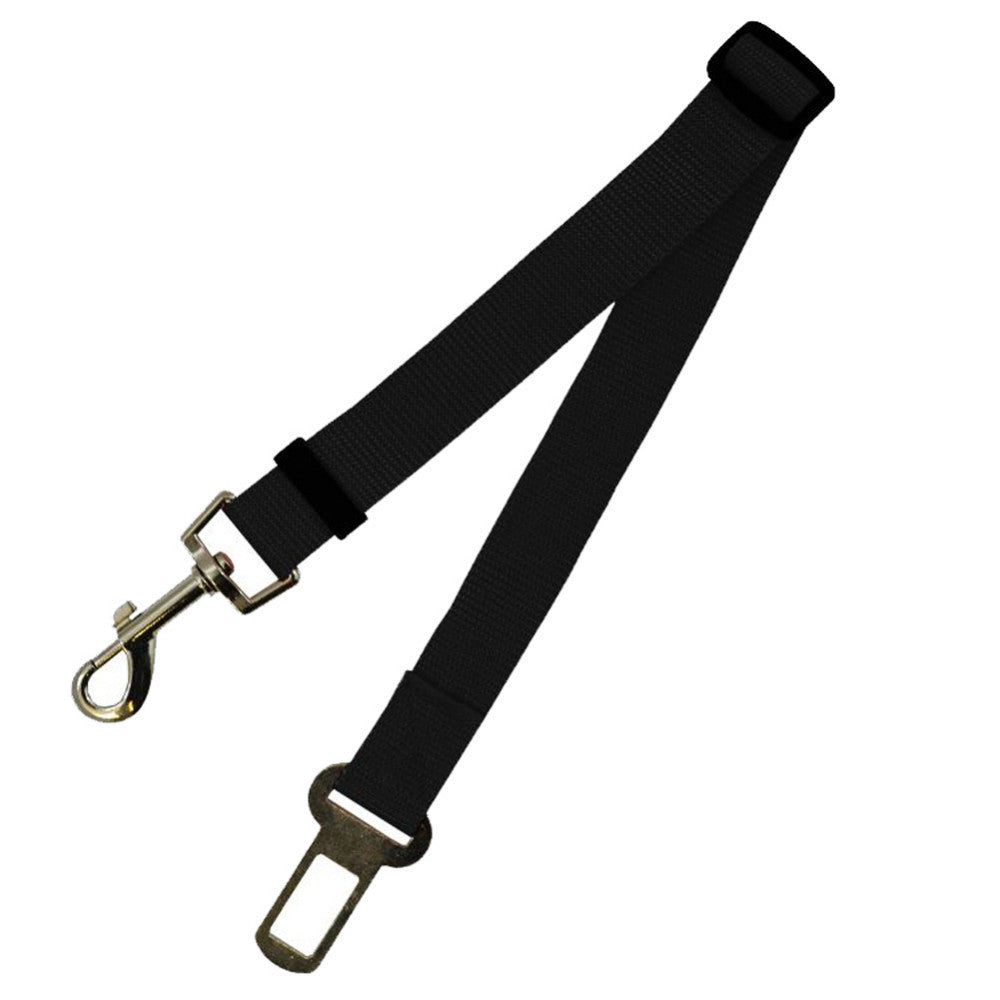 Fixed Dog Strap & Leash - PetFindsUSA - PetFindsUSA