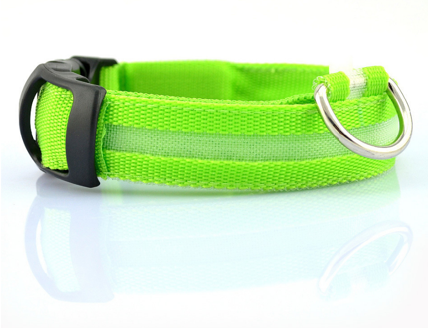 "Light Up the Night: Nylon LED Pet Collar for Purrfect Safety and Style!" - PetFindsUSA - PetFindsUSA