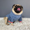 Pet Sweater - PetFindsUSA - PetFindsUSA