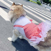 Dog Princess Costume for Labrador & Golden Retriever - PetFindsUSA - PetFindsUSA