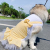 Dog Princess Costume for Labrador & Golden Retriever - PetFindsUSA - PetFindsUSA