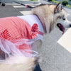 Dog Princess Costume for Labrador & Golden Retriever - PetFindsUSA - PetFindsUSA