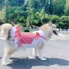 Dog Princess Costume for Labrador & Golden Retriever - PetFindsUSA - PetFindsUSA