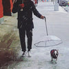 Transparent Pet Dog Umbrella - PetFindsUSA - PetFindsUSA