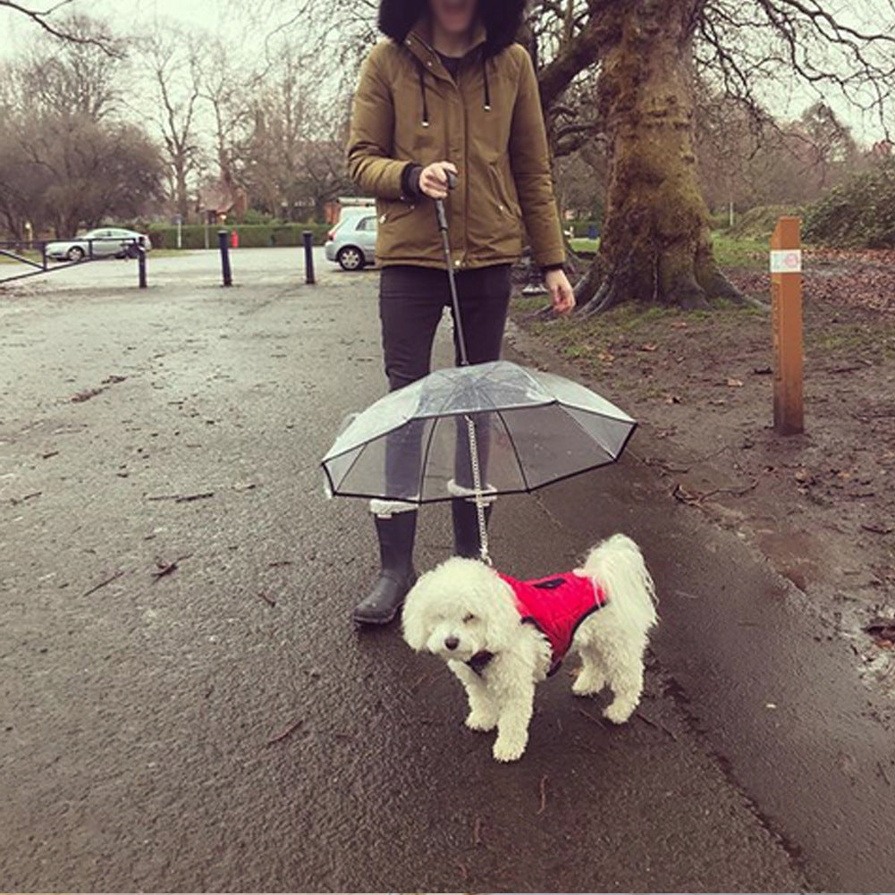 Transparent Pet Dog Umbrella - PetFindsUSA - PetFindsUSA