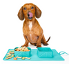 Dogs Puppy Bowls  Silicone Bowls - PetFindsUSA - PetFindsUSA