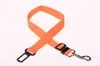 Fixed Dog Strap & Leash - PetFindsUSA - PetFindsUSA