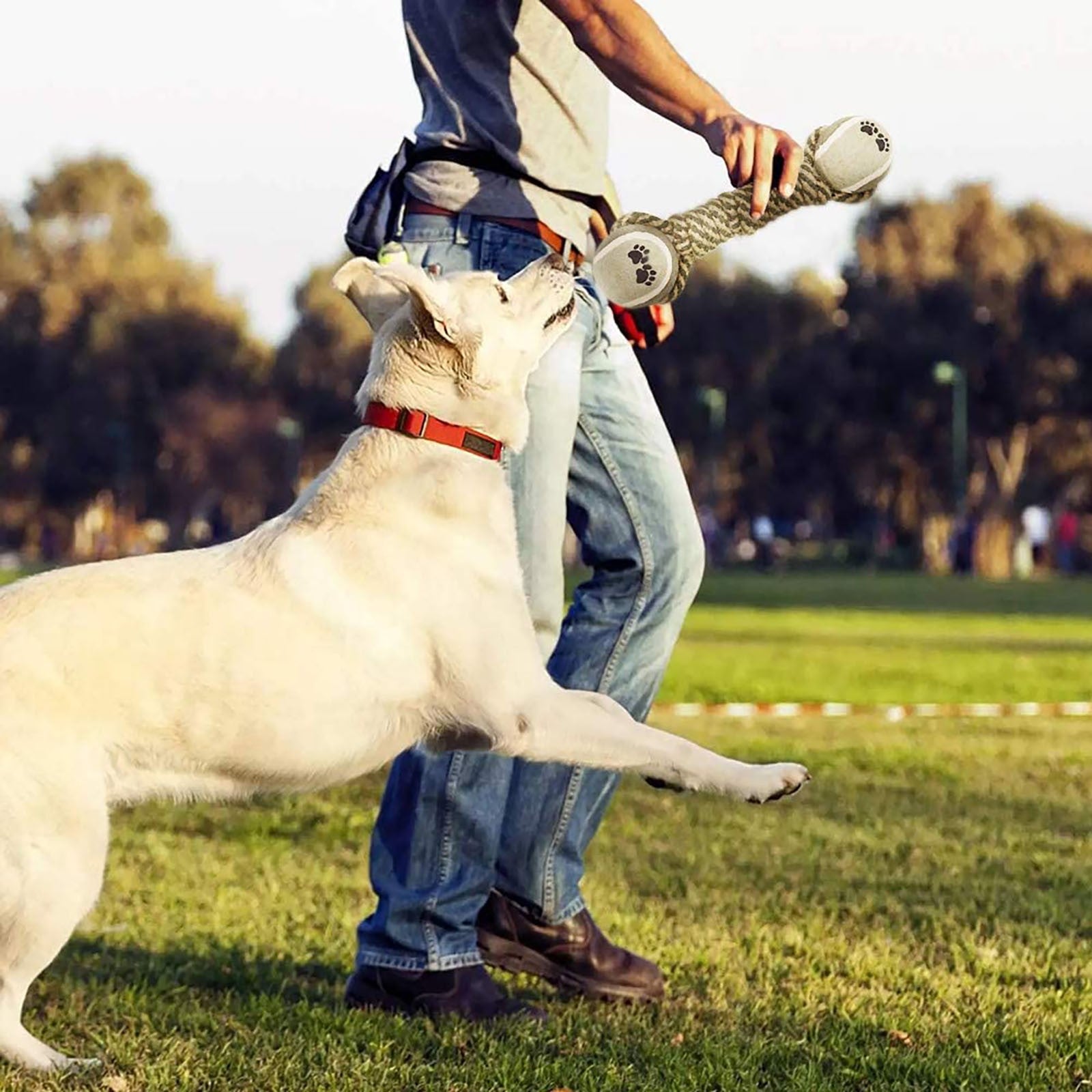 "Interactive Cotton Rope Toys for Small-Large Dogs - PetFindsUSA - PetFindsUSA