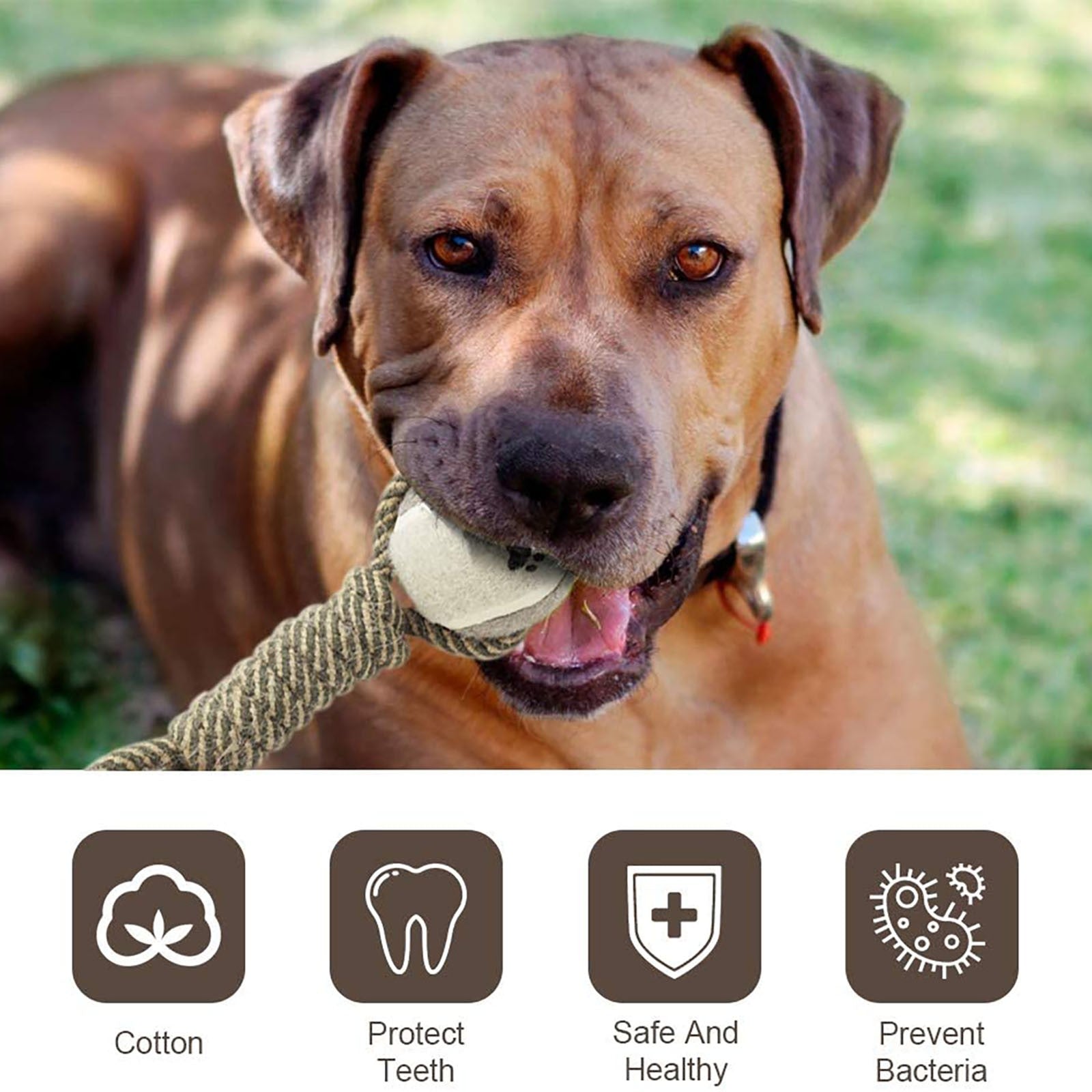 "Interactive Cotton Rope Toys for Small-Large Dogs - PetFindsUSA - PetFindsUSA