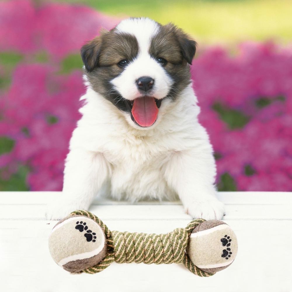 "Interactive Cotton Rope Toys for Small-Large Dogs - PetFindsUSA - PetFindsUSA