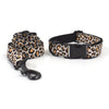 Pet Dog Black Buckle Collar Leash Set - PetFindsUSA - PetFindsUSA