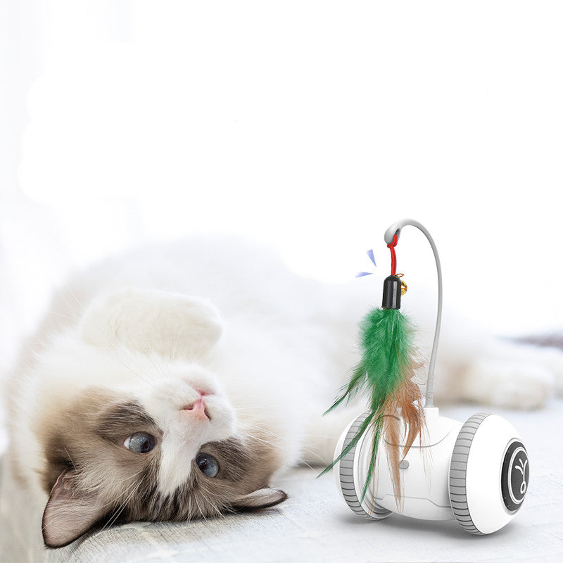 Interactive Cat Toy With Interchangeable Heads  Pet Feather Toys - PetFindsUSA - PetFindsUSA