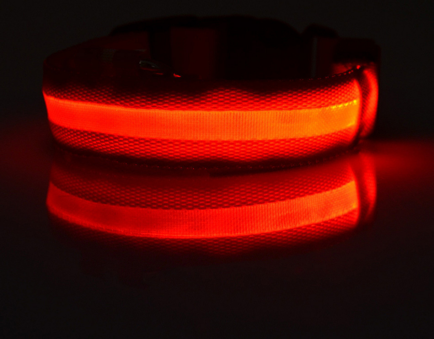 "Light Up the Night: Nylon LED Pet Collar for Purrfect Safety and Style!" - PetFindsUSA - PetFindsUSA