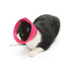 Dog Cat Anti-Bite & Medical Recovery  Protection Cover - PetFindsUSA - PetFindsUSA