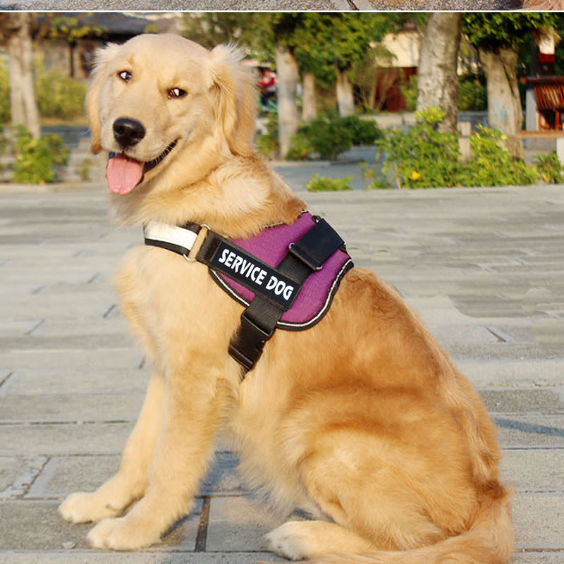 Labrador dog harness leash - PetFindsUSA - PetFindsUSA