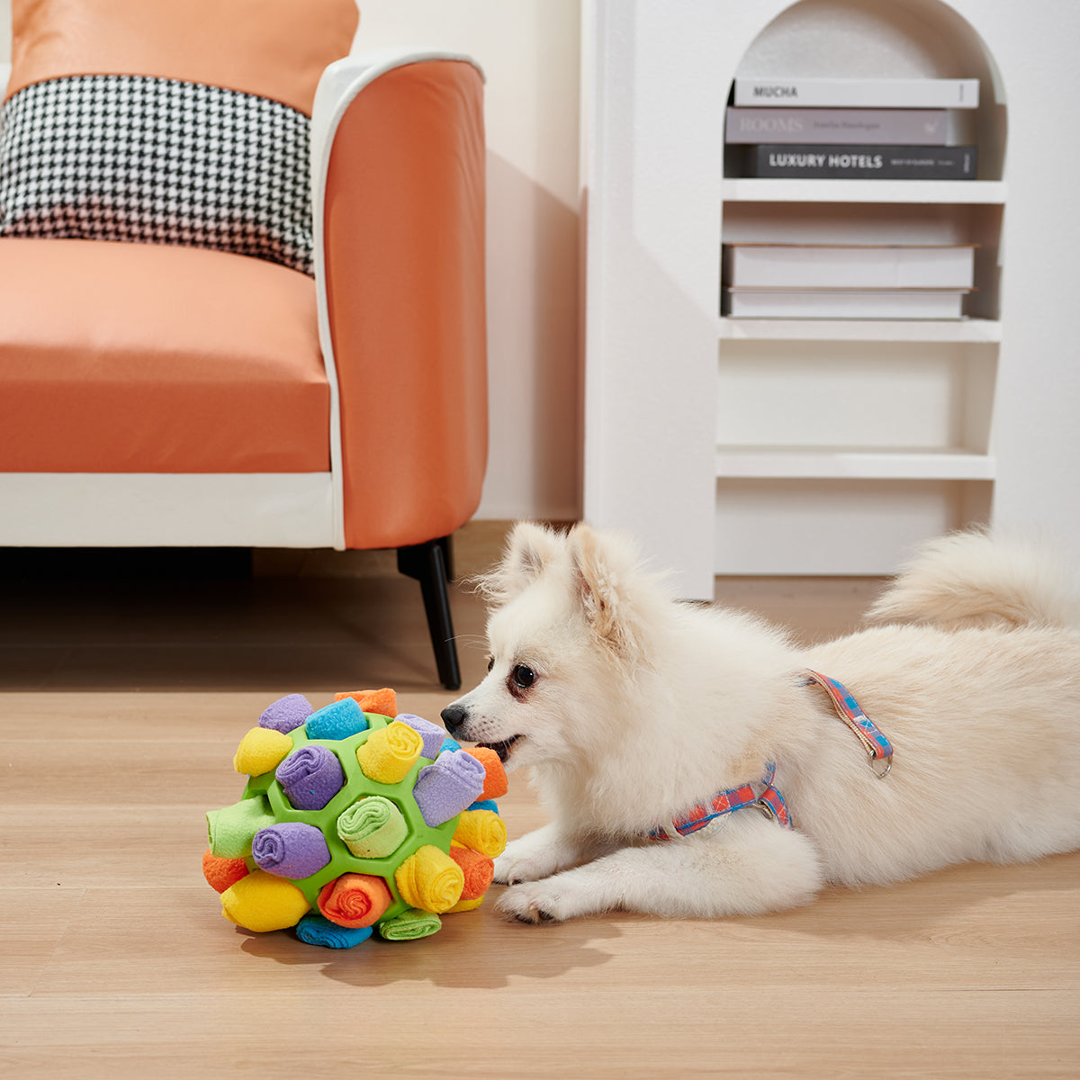 Smart Sniff Ball: Engage Your Dog's IQ