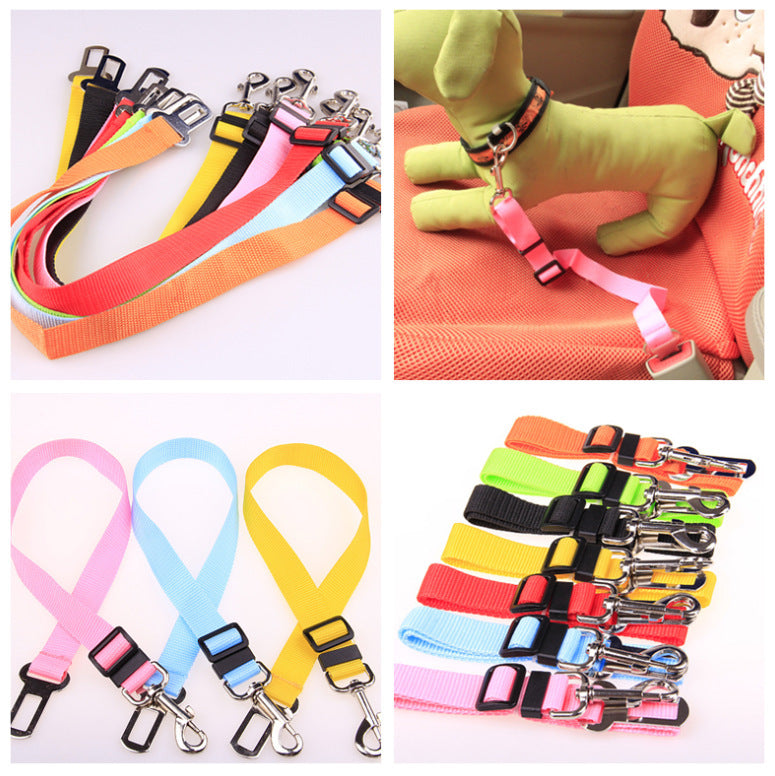 Fixed Dog Strap & Leash - PetFindsUSA - PetFindsUSA