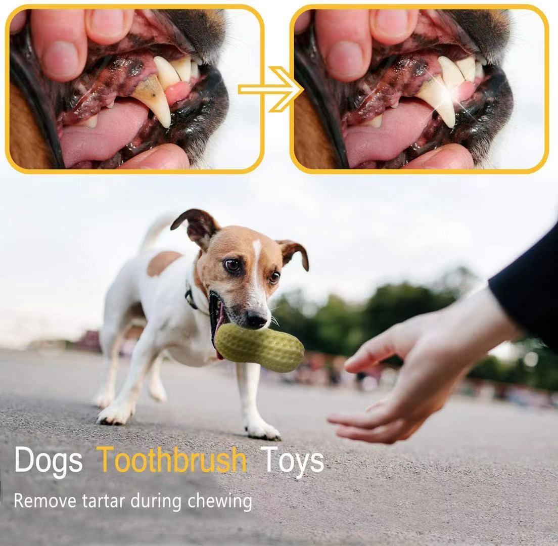 "Hilarious Squeaky Fun for Your Pet: Bite-Resistant Rubber Peanut Toy, Ideal for Small to Medium Dogs - PetFindsUSA - PetFindsUSA