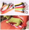 Fixed Dog Strap & Leash - PetFindsUSA - PetFindsUSA