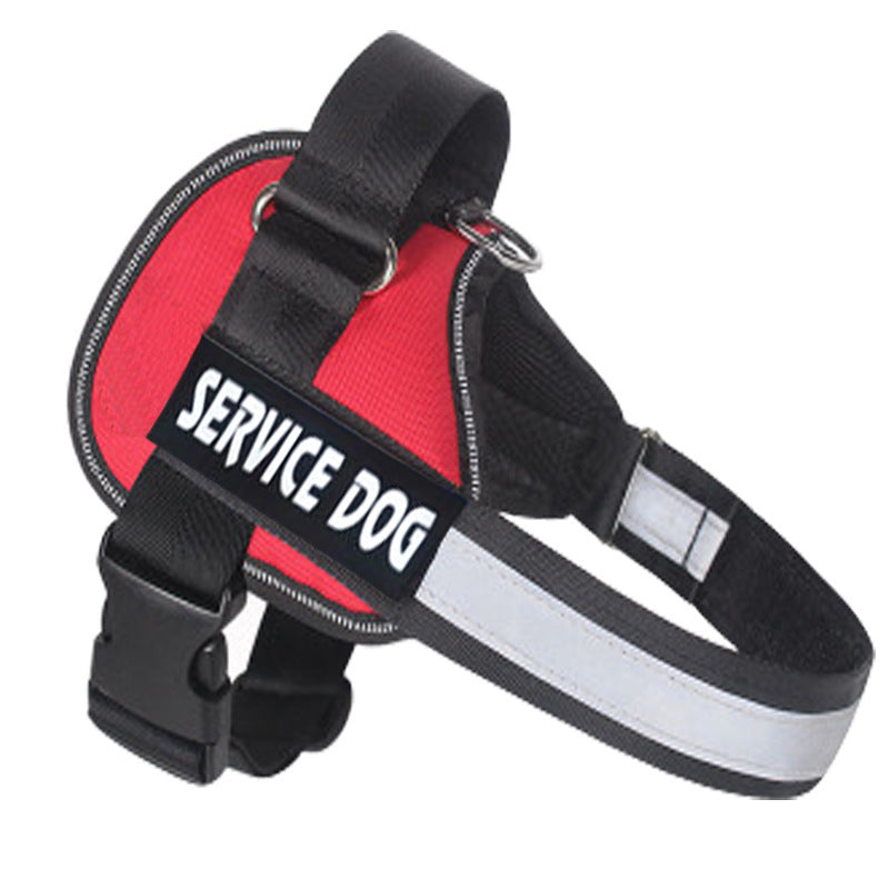 Labrador dog harness leash - PetFindsUSA - PetFindsUSA