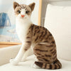 Cat Plush Toys - PetFindsUSA - PetFindsUSA