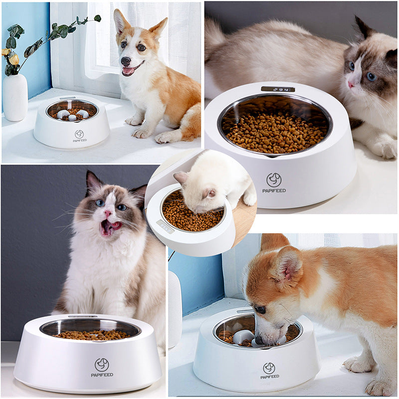 Smart Weighing Pet Dog Bowl Slow Feeder - PetFindsUSA - PetFindsUSA