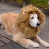 Cute Pet Cosplay Lion Clothe - PetFindsUSA - PetFindsUSA