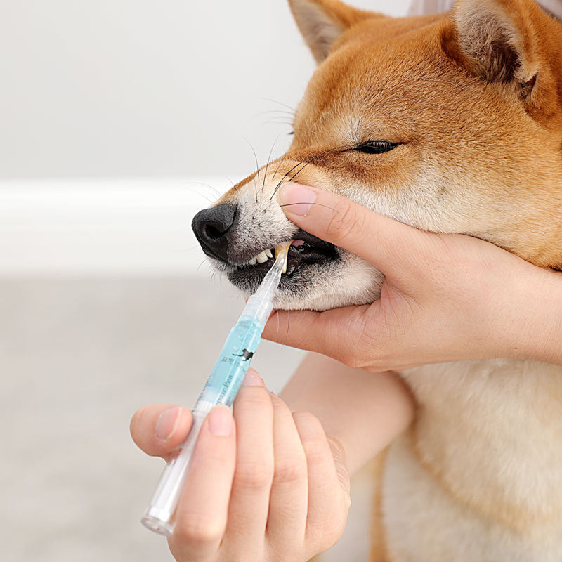 Pet Teeth Repairing Kit For Dog Cat Teeth Cleaning Pen Kit - PetFindsUSA - PetFindsUSA