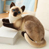 Cat Plush Toys - PetFindsUSA - PetFindsUSA