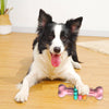 Bone-Shaped Indestructible TPR Dog Chew Toy - PetFindsUSA - PetFindsUSA