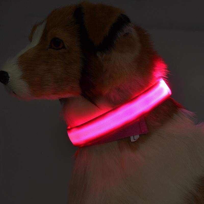 "Light Up the Night: Nylon LED Pet Collar for Purrfect Safety and Style!" - PetFindsUSA - PetFindsUSA