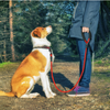 Stay Visible and in Control: Reflective Nylon Dog Leash Rope for Small, Medium, and Large Dogs - PetFindsUSA - PetFindsUSA