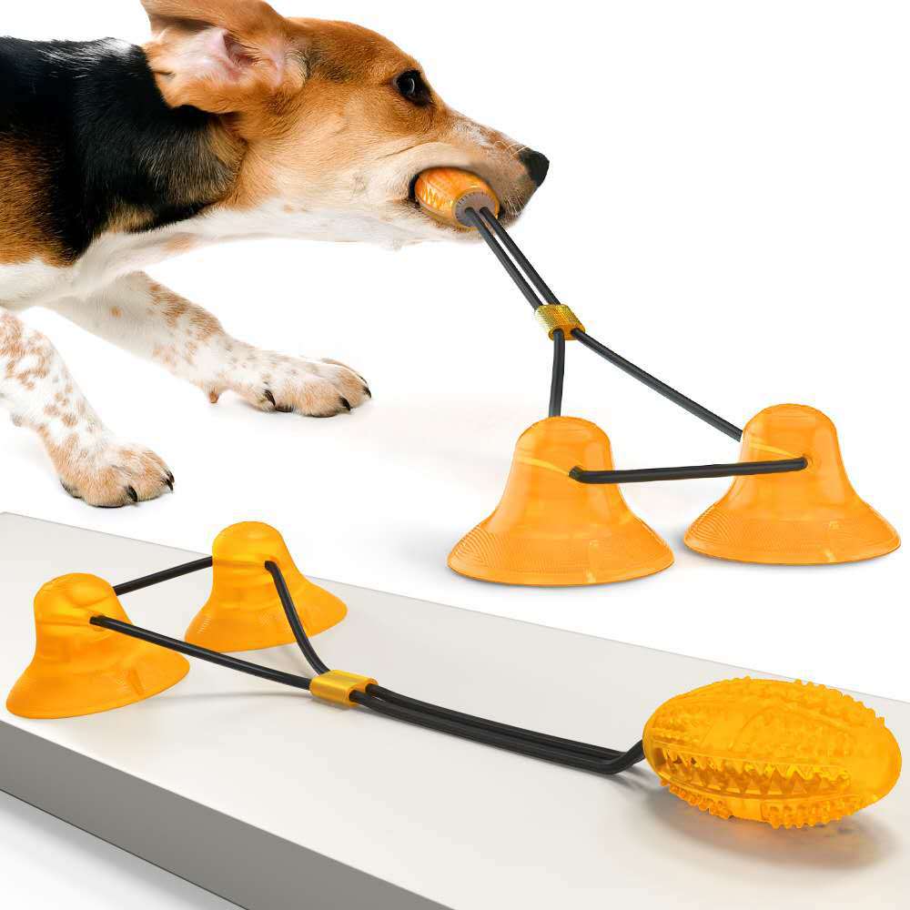 Suction Cup Pets Toys - PetFindsUSA - PetFindsUSA