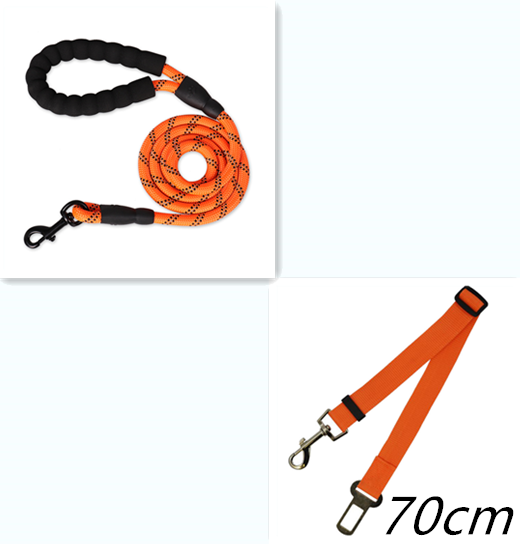 Stay Visible and in Control: Reflective Nylon Dog Leash Rope for Small, Medium, and Large Dogs - PetFindsUSA - PetFindsUSA