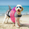 Life Jacket Swimming Clothes Corgi Golden Fur Chai Dog - PetFindsUSA - PetFindsUSA
