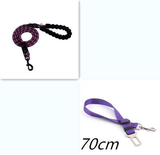 Stay Visible and in Control: Reflective Nylon Dog Leash Rope for Small, Medium, and Large Dogs - PetFindsUSA - PetFindsUSA