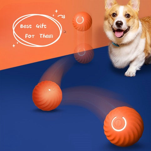 Pet Dog Rubber Ball Toys: Resistant to Biting, Ideal for Dog Chew and Puppy Training - PetFindsUSA - PetFindsUSA