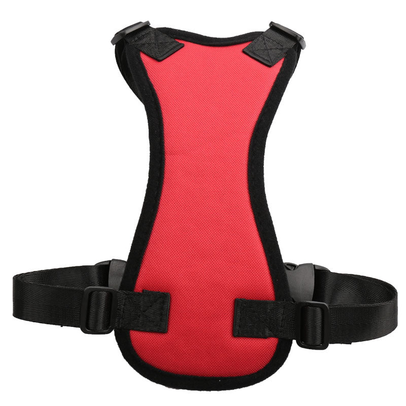 Car Seat Belts for Pets - PetFindsUSA - PetFindsUSA