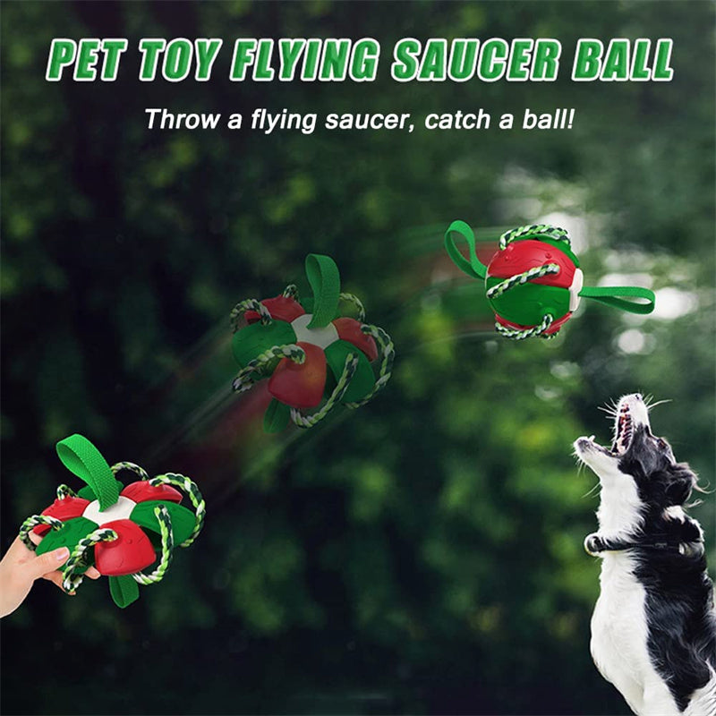 Interactive Dog Football Soccer Ball with Tabs - PetFindsUSA - PetFindsUSA