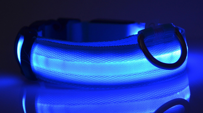 "Light Up the Night: Nylon LED Pet Collar for Purrfect Safety and Style!" - PetFindsUSA - PetFindsUSA