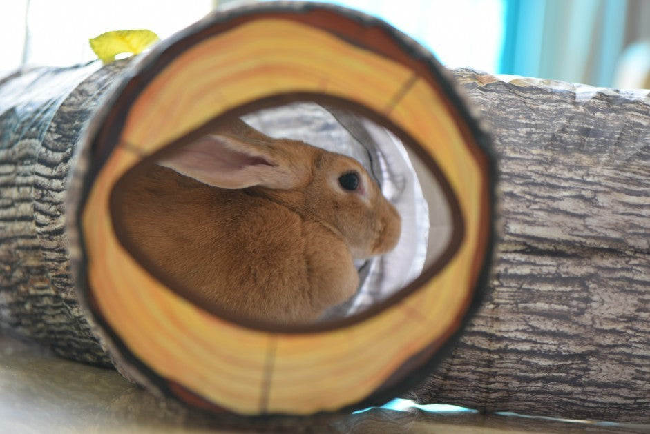 Tree Pattern  Pet Tunnel