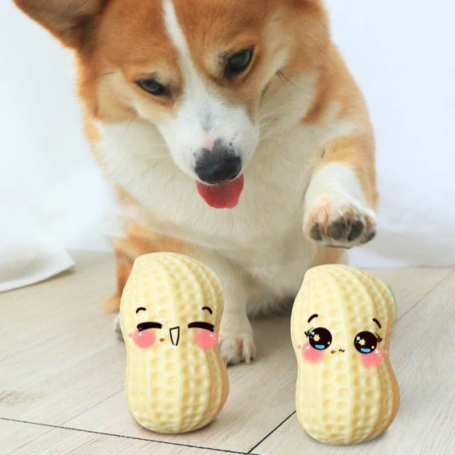 "Hilarious Squeaky Fun for Your Pet: Bite-Resistant Rubber Peanut Toy, Ideal for Small to Medium Dogs - PetFindsUSA - PetFindsUSA