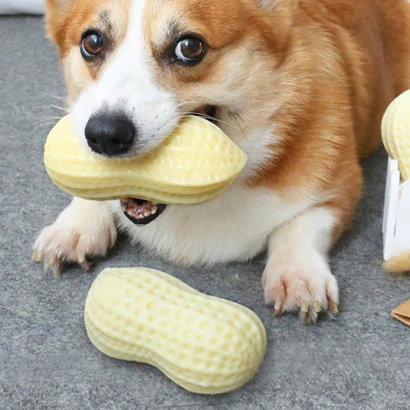 "Hilarious Squeaky Fun for Your Pet: Bite-Resistant Rubber Peanut Toy, Ideal for Small to Medium Dogs - PetFindsUSA - PetFindsUSA