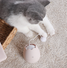 Funny cat artifact cat toys - PetFindsUSA - PetFindsUSA